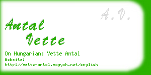 antal vette business card